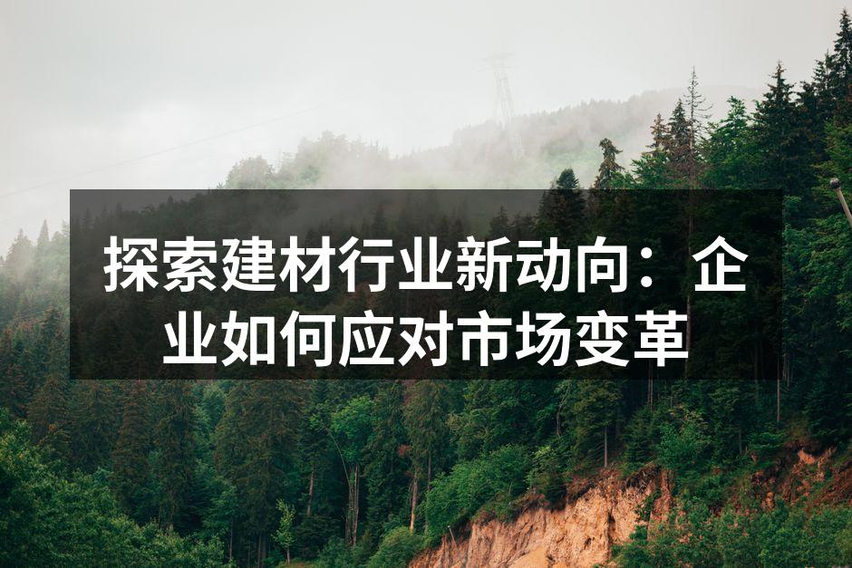 探索建材行业新动向：企业如何应对市场变革